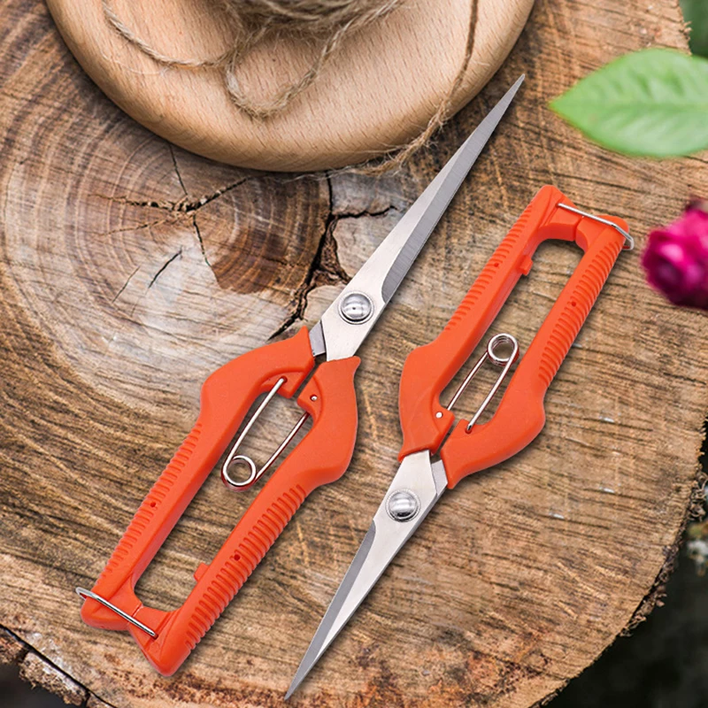 Forbici per uva Cesoie da pota - Furniture Joining Hardware recensione e prezzo