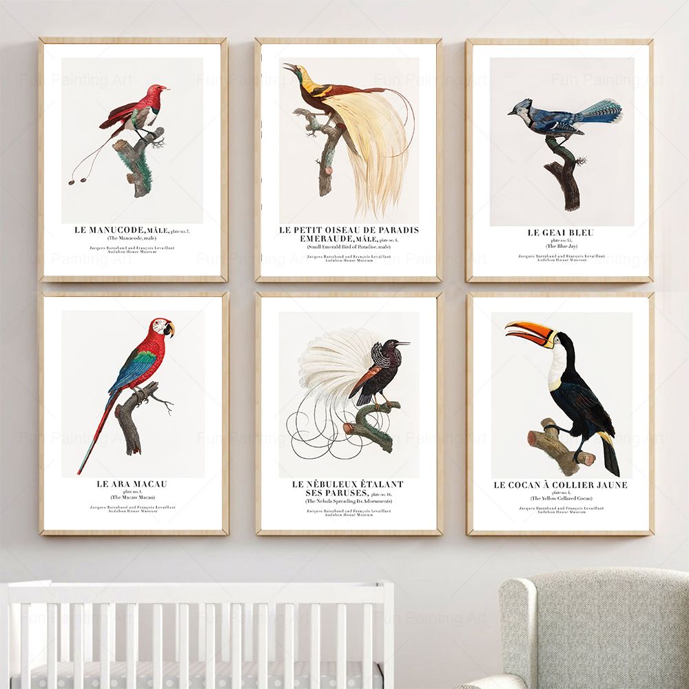 Vintage Paradise Bird Wall Art - Furniture Paradise & Hardware Ghaziabad Reviews recensione e prezzo