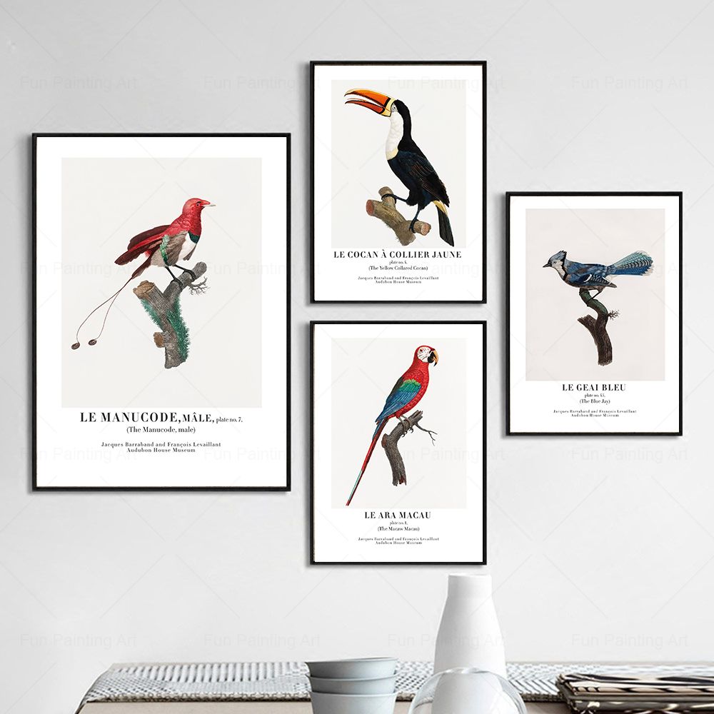 Vintage Paradise Bird Wall Art - Furniture Paradise & Hardware Ghaziabad Reviews recensione e prezzo