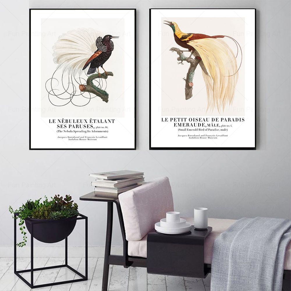 Vintage Paradise Bird Wall Art - Furniture Paradise & Hardware Ghaziabad Reviews recensione e prezzo